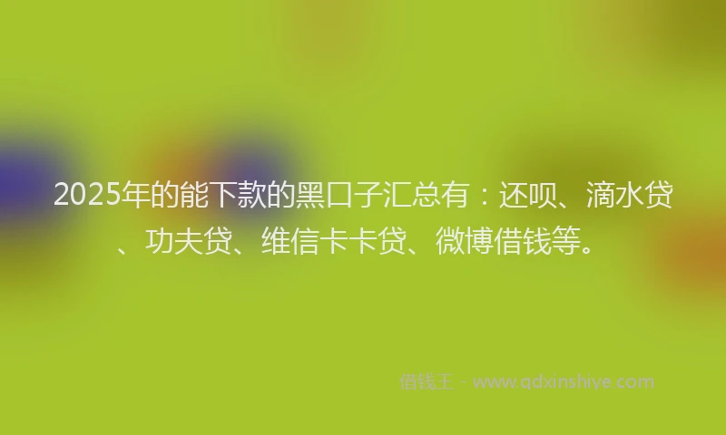 2025年的能下款的黑口子汇总有：还呗、滴水贷、功夫贷、维信卡卡贷、微博借钱等。