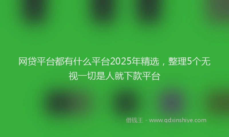 网贷平台都有什么平台2025年精选，整理5个无视一切是人就下款平台