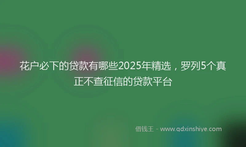 花户必下的贷款有哪些2025年精选，罗列5个真正不查征信的贷款平台