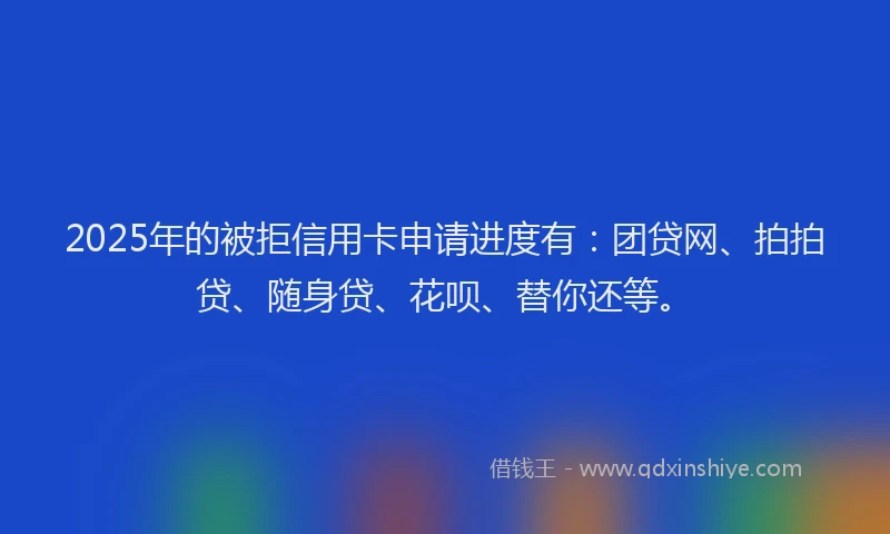 2025年的被拒信用卡申请进度有：团贷网、拍拍贷、随身贷、花呗、替你还等。