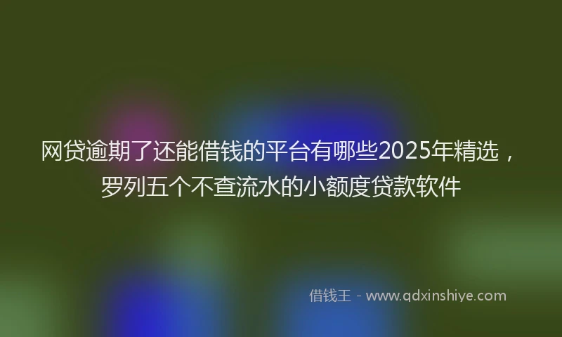 网贷逾期了还能借钱的平台有哪些2025年精选，罗列五个不查流水的小额度贷款软件
