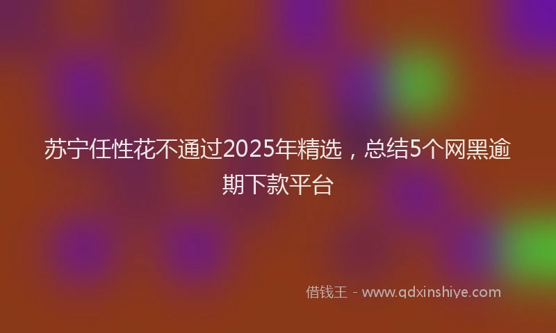 苏宁任性花不通过2025年精选，总结5个网黑逾期下款平台