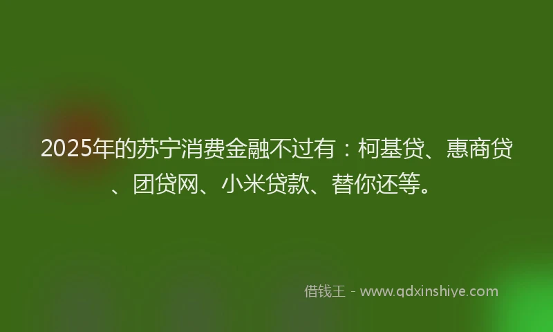 2025年的苏宁消费金融不过有：柯基贷、惠商贷、团贷网、小米贷款、替你还等。