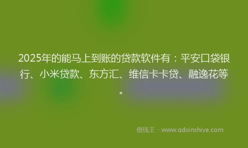 2025年的能马上到账的贷款软件有：平安口袋银行、小米贷款、东方汇、维信卡卡贷、融逸花等。