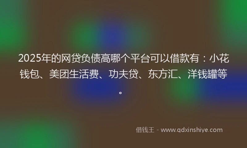 2025年的网贷负债高哪个平台可以借款有：小花钱包、美团生活费、功夫贷、东方汇、洋钱罐等。