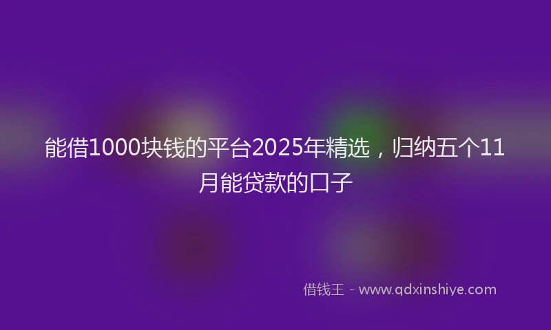 能借1000块钱的平台2025年精选，归纳五个11月能贷款的口子