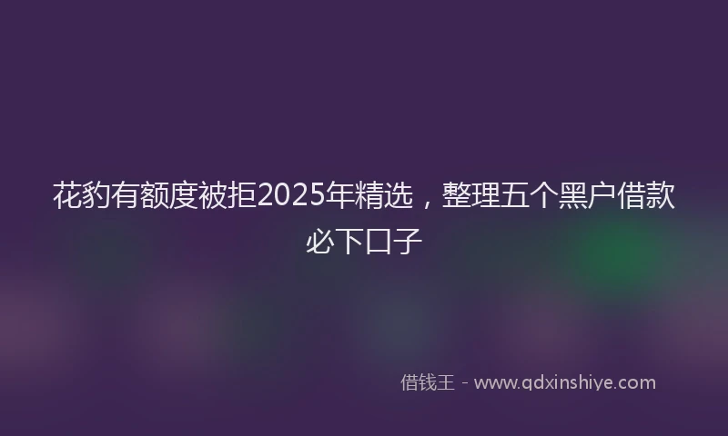 花豹有额度被拒2025年精选，整理五个黑户借款必下口子