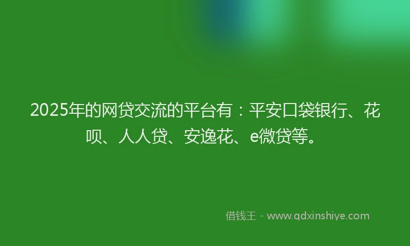 2025年的网贷交流的平台有：平安口袋银行、花呗、人人贷、安逸花、e微贷等。
