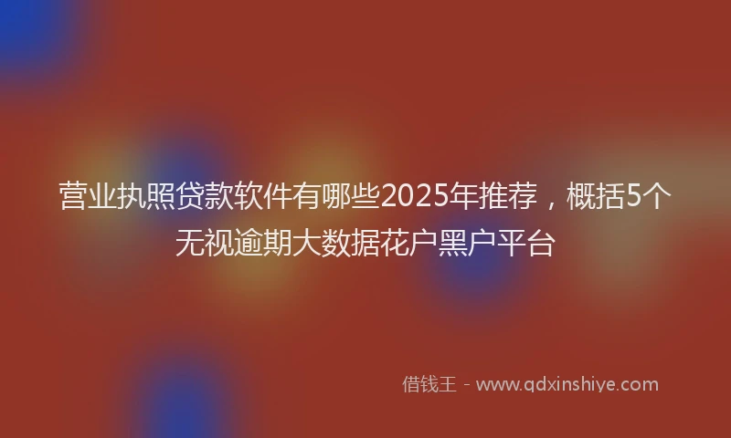 营业执照贷款软件有哪些2025年推荐，概括5个无视逾期大数据花户黑户平台