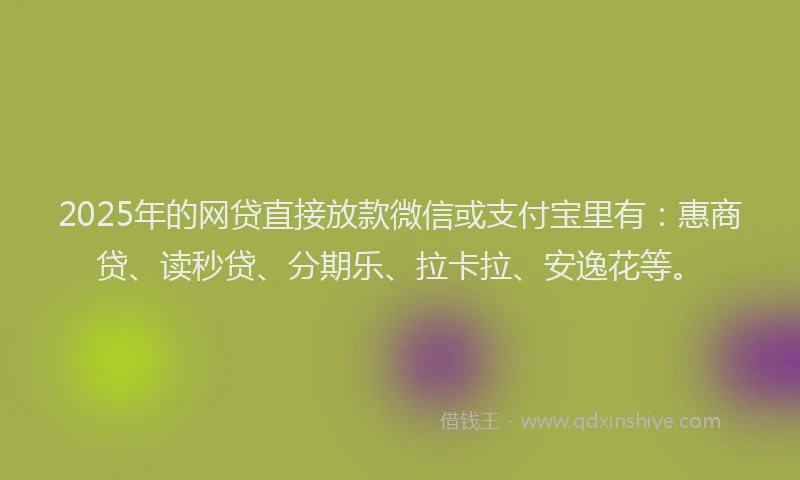2025年的网贷直接放款微信或支付宝里有：惠商贷、读秒贷、分期乐、拉卡拉、安逸花等。