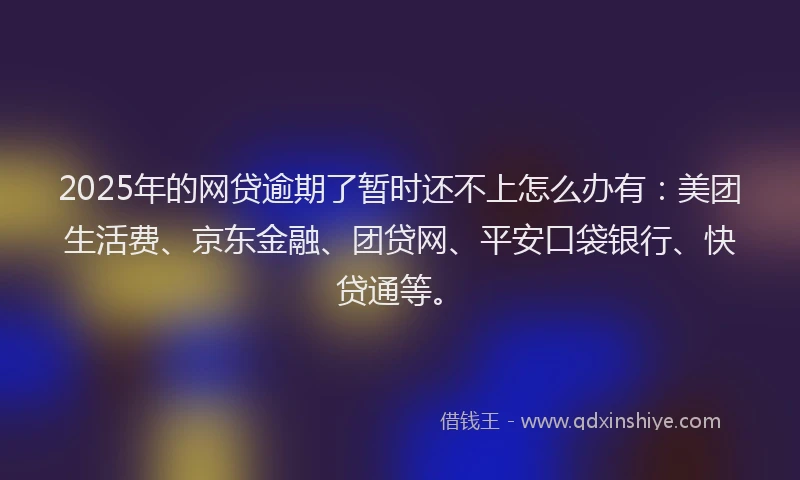 2025年的网贷逾期了暂时还不上怎么办有：美团生活费、京东金融、团贷网、平安口袋银行、快贷通等。