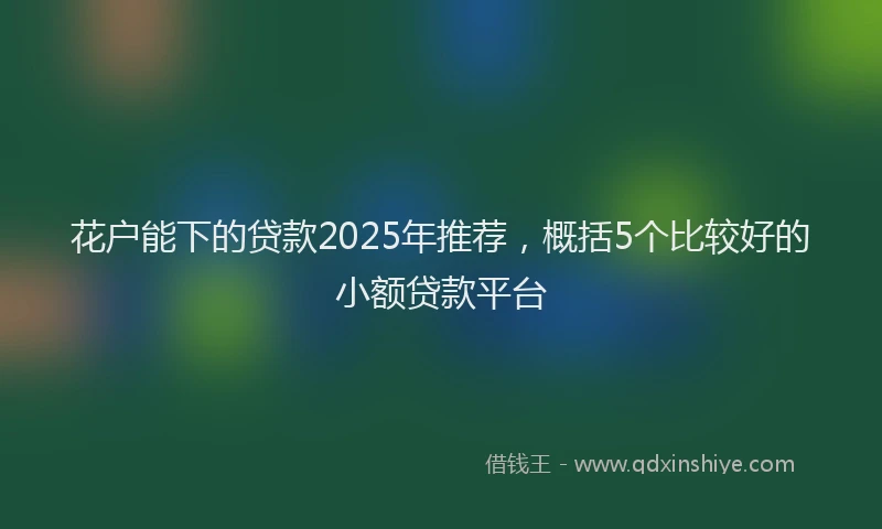 花户能下的贷款2025年推荐，概括5个比较好的小额贷款平台