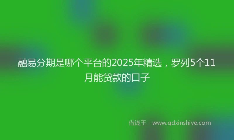 融易分期是哪个平台的2025年精选，罗列5个11月能贷款的口子