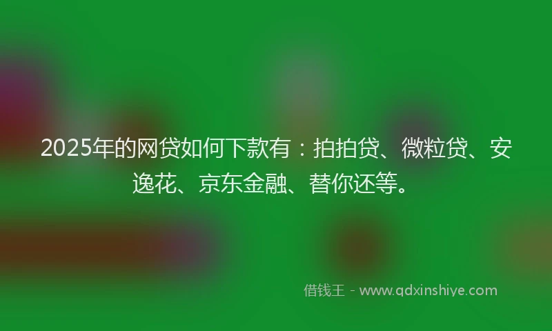 2025年的网贷如何下款有：拍拍贷、微粒贷、安逸花、京东金融、替你还等。