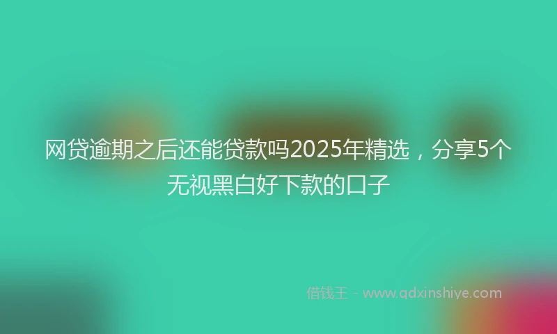 网贷逾期之后还能贷款吗2025年精选，分享5个无视黑白好下款的口子