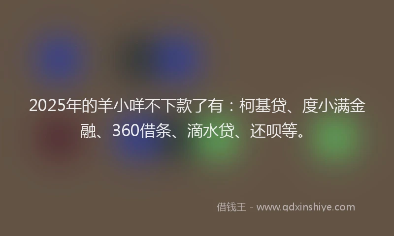 2025年的羊小咩不下款了有：柯基贷、度小满金融、360借条、滴水贷、还呗等。