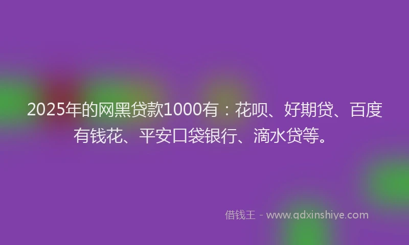 2025年的网黑贷款1000有：花呗、好期贷、百度有钱花、平安口袋银行、滴水贷等。