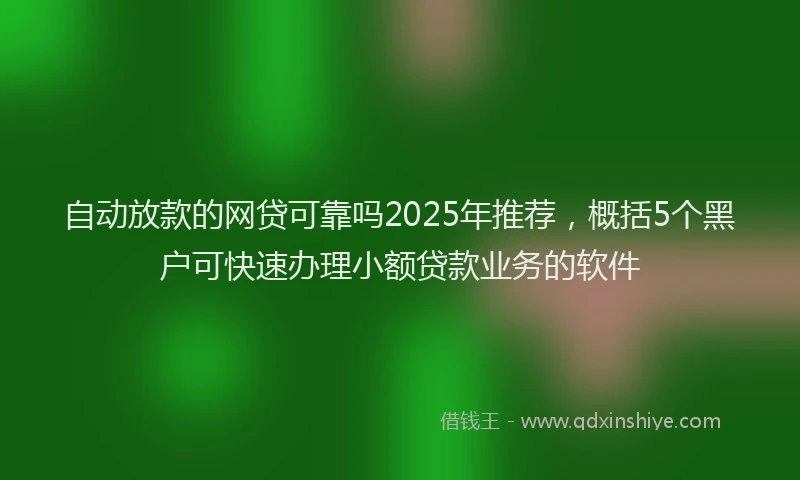 自动放款的网贷可靠吗2025年推荐，概括5个黑户可快速办理小额贷款业务的软件