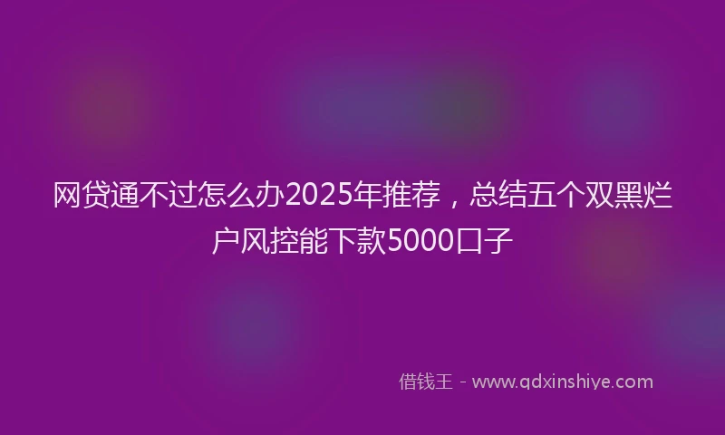网贷通不过怎么办2025年推荐，总结五个双黑烂户风控能下款5000口子