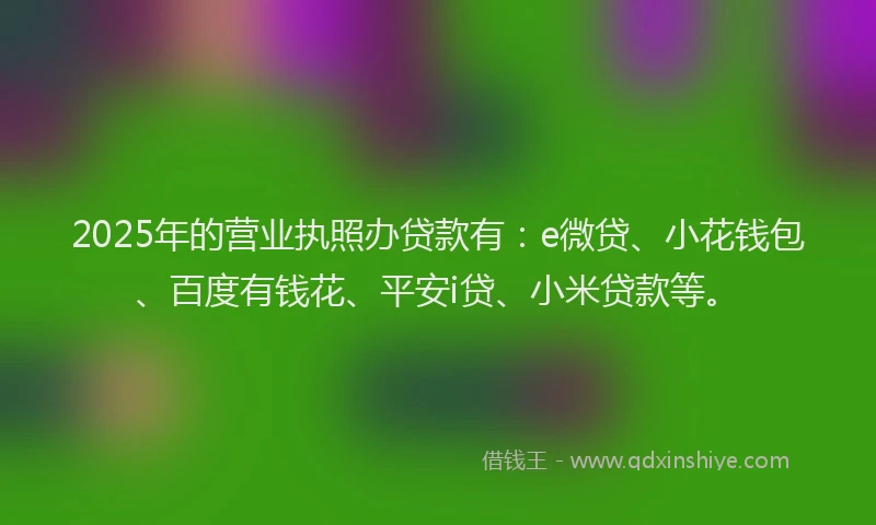 2025年的营业执照办贷款有：e微贷、小花钱包、百度有钱花、平安i贷、小米贷款等。