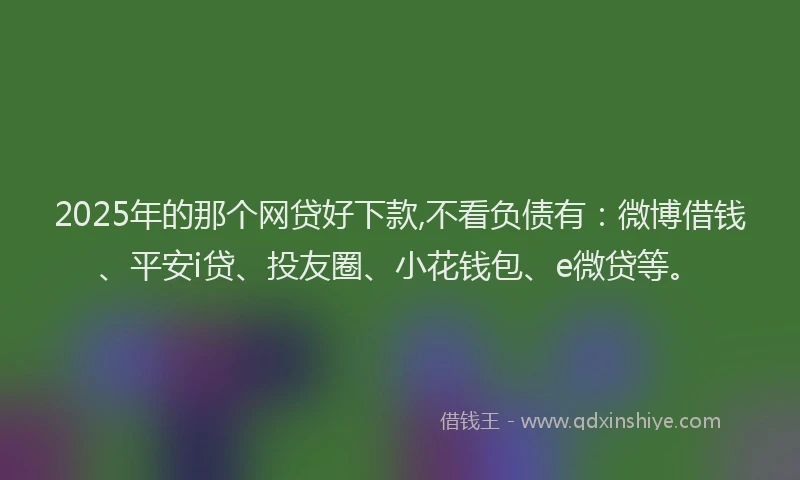 2025年的那个网贷好下款,不看负债有：微博借钱、平安i贷、投友圈、小花钱包、e微贷等。