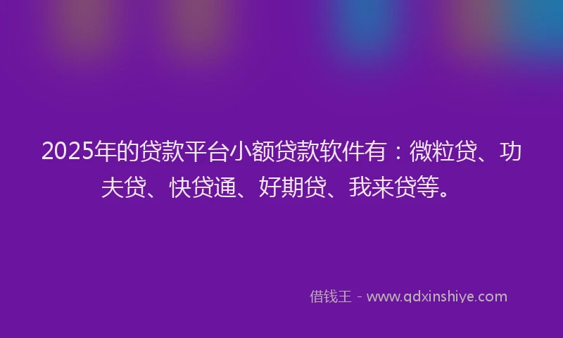 2025年的贷款平台小额贷款软件有：微粒贷、功夫贷、快贷通、好期贷、我来贷等。