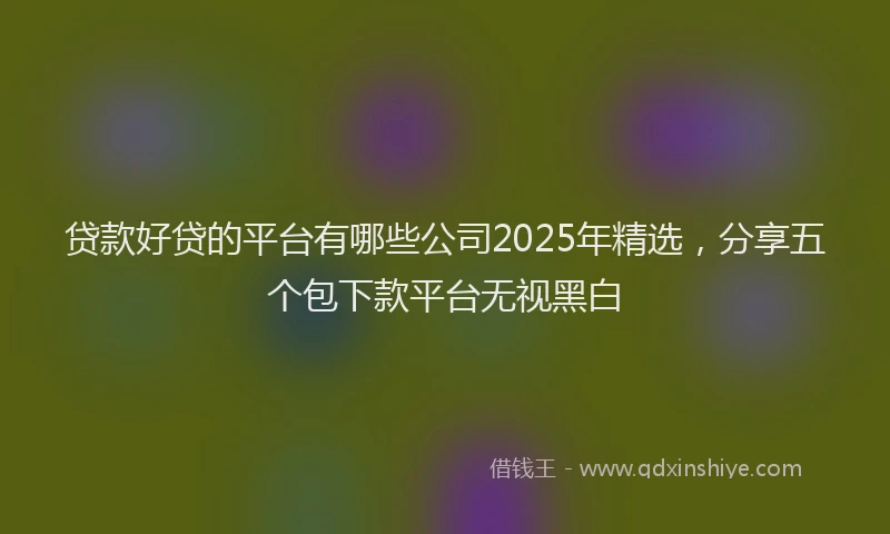 贷款好贷的平台有哪些公司2025年精选，分享五个包下款平台无视黑白