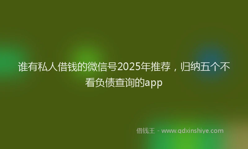 谁有私人借钱的微信号2025年推荐，归纳五个不看负债查询的app