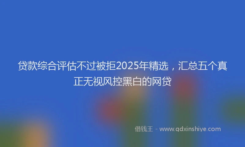 贷款综合评估不过被拒2025年精选，汇总五个真正无视风控黑白的网贷