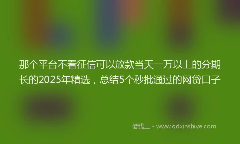 那个平台不看征信可以放款当天一万以上的分期长的2025年精选，总结5个秒批通过的网贷口子