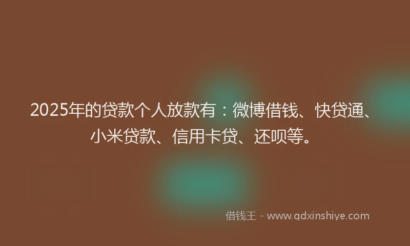 2025年的贷款个人放款有：微博借钱、快贷通、小米贷款、信用卡贷、还呗等。