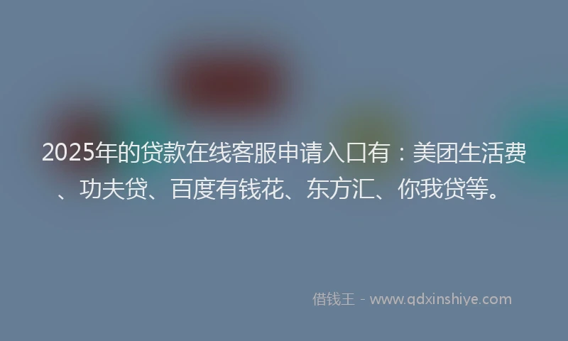 2025年的贷款在线客服申请入口有：美团生活费、功夫贷、百度有钱花、东方汇、你我贷等。