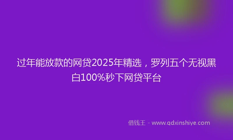 过年能放款的网贷2025年精选，罗列五个无视黑白100%秒下网贷平台