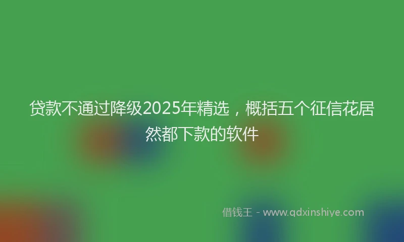 贷款不通过降级2025年精选，概括五个征信花居然都下款的软件