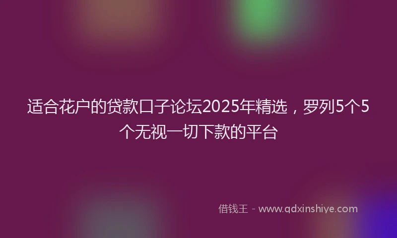 适合花户的贷款口子论坛2025年精选，罗列5个5个无视一切下款的平台
