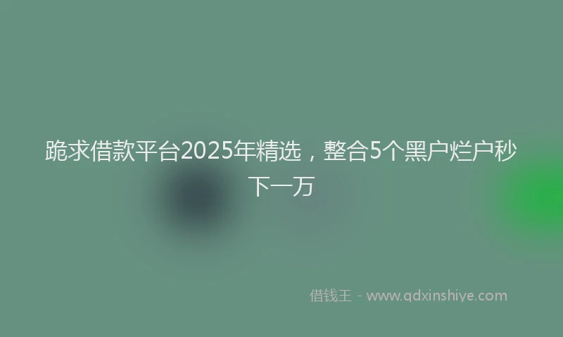 跪求借款平台2025年精选，整合5个黑户烂户秒下一万