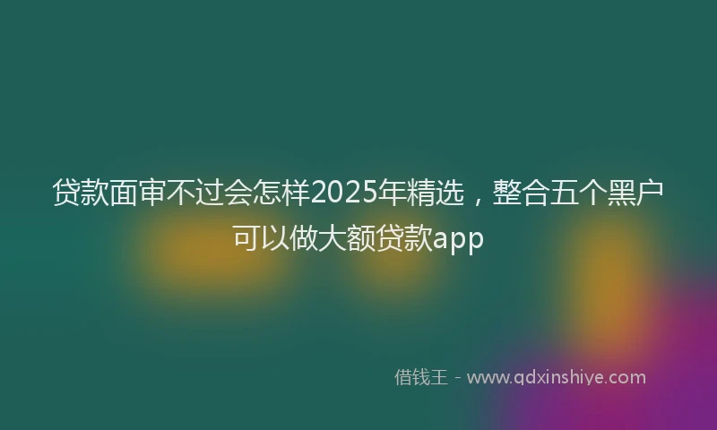 贷款面审不过会怎样2025年精选，整合五个黑户可以做大额贷款app