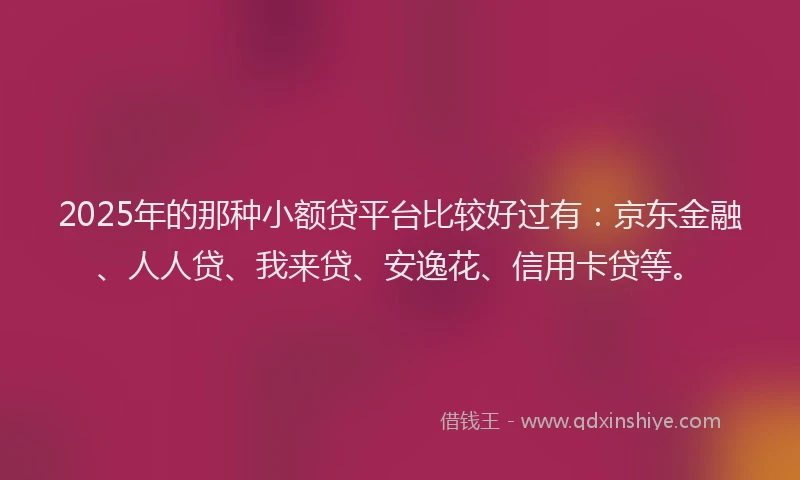 2025年的那种小额贷平台比较好过有：京东金融、人人贷、我来贷、安逸花、信用卡贷等。