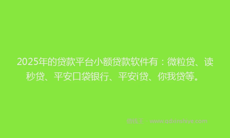 2025年的贷款平台小额贷款软件有：微粒贷、读秒贷、平安口袋银行、平安i贷、你我贷等。