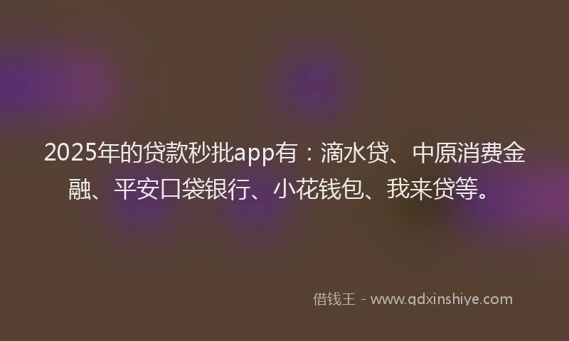 2025年的贷款秒批app有：滴水贷、中原消费金融、平安口袋银行、小花钱包、我来贷等。
