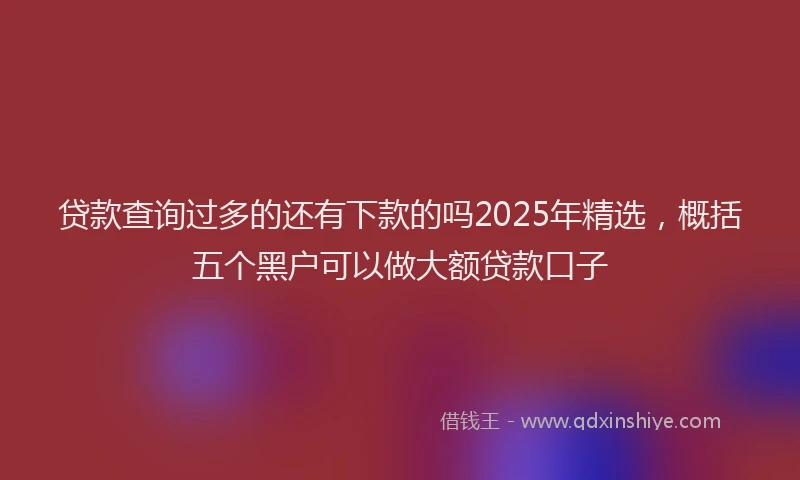 贷款查询过多的还有下款的吗2025年精选，概括五个黑户可以做大额贷款口子