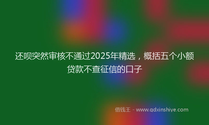 还呗突然审核不通过2025年精选，概括五个小额贷款不查征信的口子