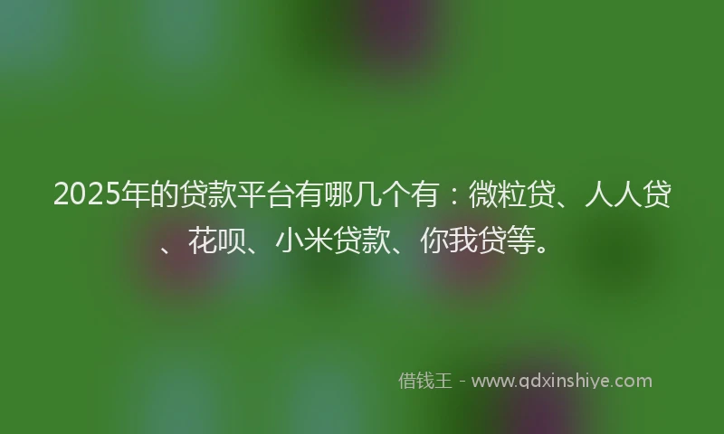 2025年的贷款平台有哪几个有：微粒贷、人人贷、花呗、小米贷款、你我贷等。