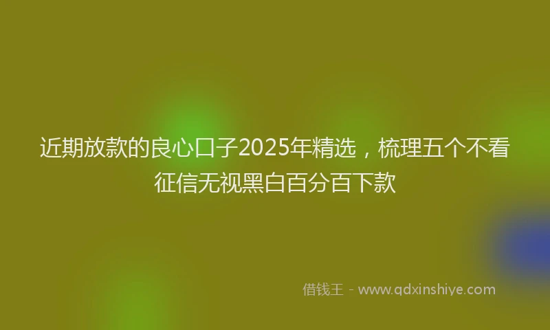 近期放款的良心口子2025年精选，梳理五个不看征信无视黑白百分百下款
