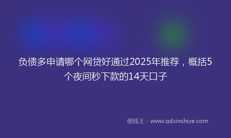 负债多申请哪个网贷好通过2025年推荐，概括5个夜间秒下款的14天口子