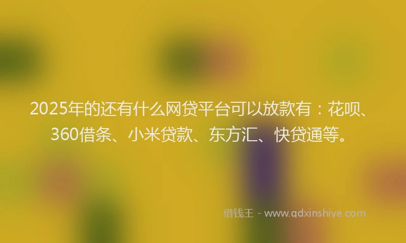 2025年的还有什么网贷平台可以放款有：花呗、360借条、小米贷款、东方汇、快贷通等。