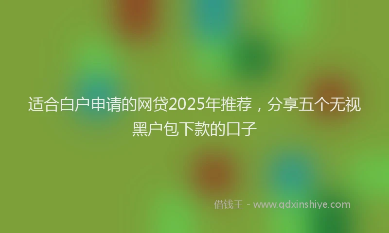 适合白户申请的网贷2025年推荐，分享五个无视黑户包下款的口子