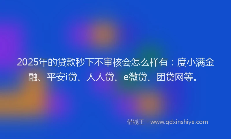 2025年的贷款秒下不审核会怎么样有：度小满金融、平安i贷、人人贷、e微贷、团贷网等。