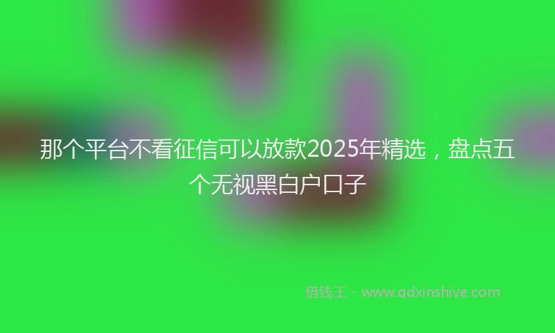 那个平台不看征信可以放款2025年精选，盘点五个无视黑白户口子