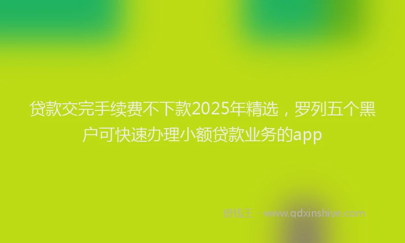 贷款交完手续费不下款2025年精选，罗列五个黑户可快速办理小额贷款业务的app